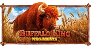 ภาพเกม Buffalo King Megaways ที่ torontola รวบรวมไว้